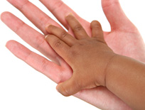 19499_fullimage_Handen